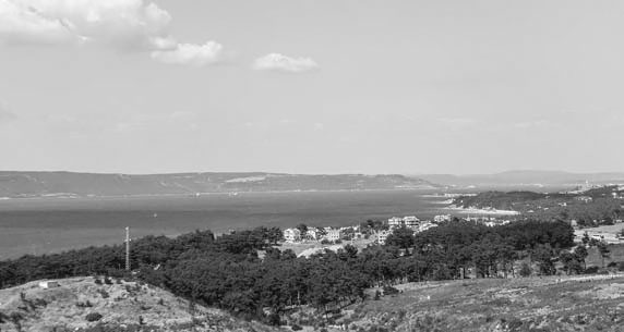 Иллюстрация к книге — Троянский конь западной истории [i_021.jpg]