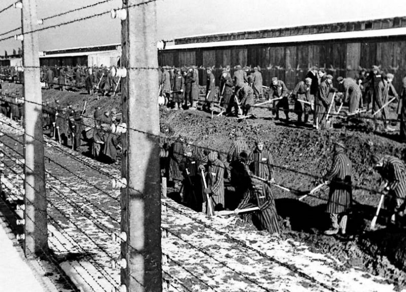 Иллюстрация к книге — Освенцим. Нацисты и "окончательное решение еврейского вопроса" [i_015.jpg]