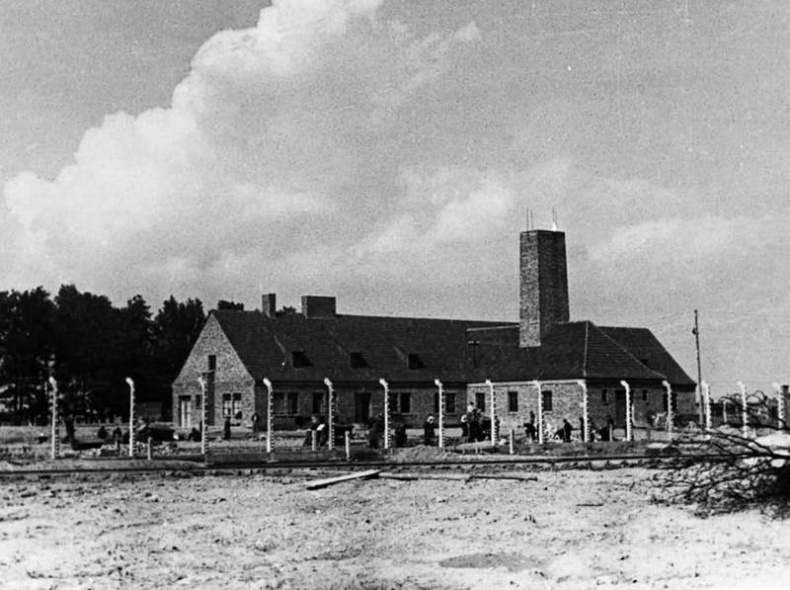 Иллюстрация к книге — Освенцим. Нацисты и "окончательное решение еврейского вопроса" [i_028.jpg]