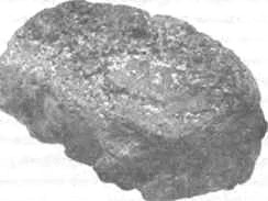 Иллюстрация к книге — История КГБ [i_010.jpg]