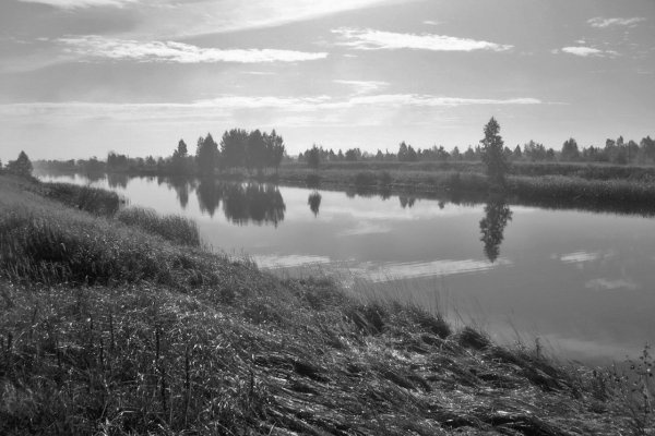 Иллюстрация к книге — Как Черчилль развязал Вторую Мировую. Главный виновник войны [i_021.jpg]