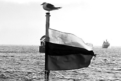 Иллюстрация к книге — Россия теряет Арктику? [i_037.jpg]