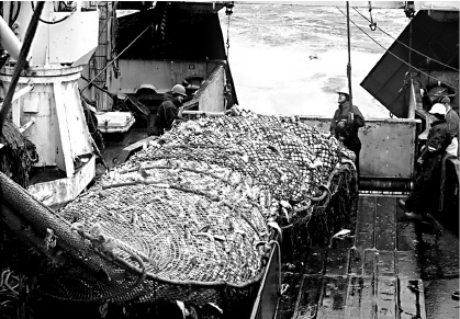 Иллюстрация к книге — Россия теряет Арктику? [i_039.jpg]