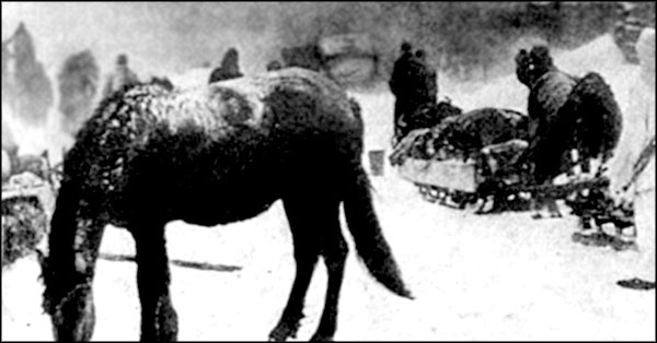 Иллюстрация к книге — "Крестовый поход на Восток". Гитлеровская Европа против России [_0112.jpg]