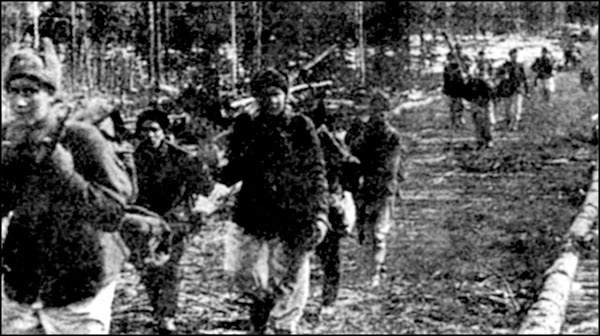 Иллюстрация к книге — "Крестовый поход на Восток". Гитлеровская Европа против России [_0123.jpg]