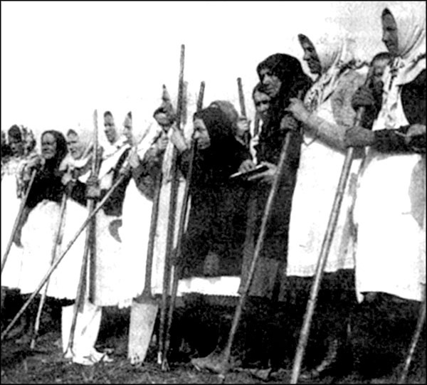 Иллюстрация к книге — "Крестовый поход на Восток". Гитлеровская Европа против России [_058.jpg]