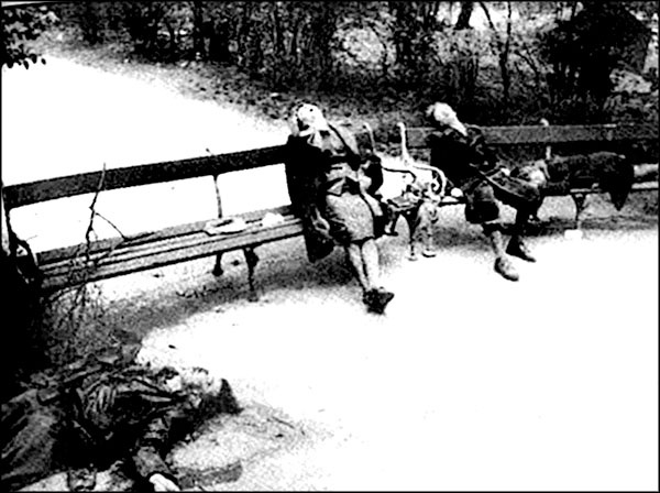 Иллюстрация к книге — "Крестовый поход на Восток". Гитлеровская Европа против России [_221.jpg]