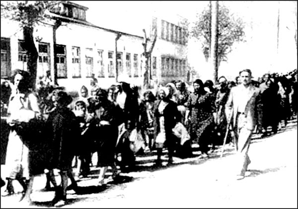 Иллюстрация к книге — "Крестовый поход на Восток". Гитлеровская Европа против России [_267.jpg]