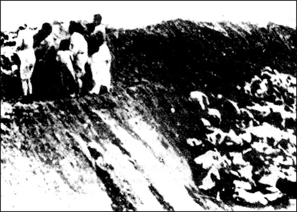 Иллюстрация к книге — "Крестовый поход на Восток". Гитлеровская Европа против России [_2681.jpg]