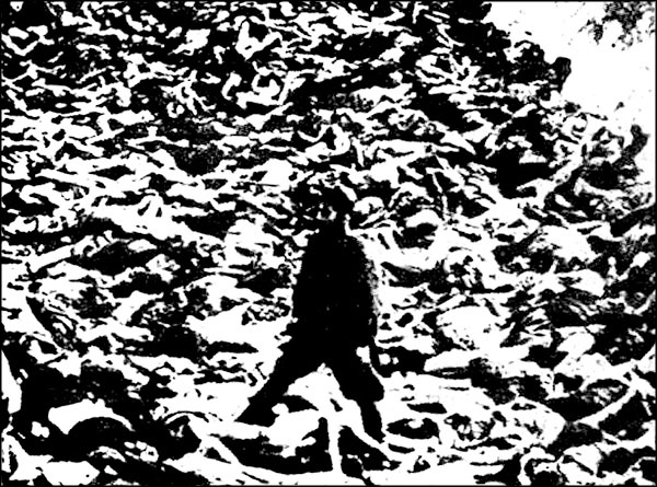 Иллюстрация к книге — "Крестовый поход на Восток". Гитлеровская Европа против России [_2682.jpg]