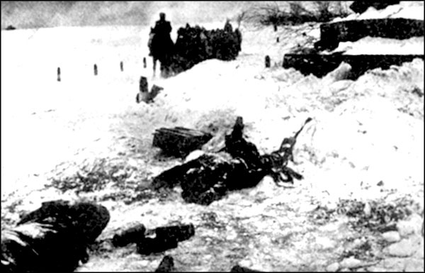 Иллюстрация к книге — "Крестовый поход на Восток". Гитлеровская Европа против России [_3591.jpg]