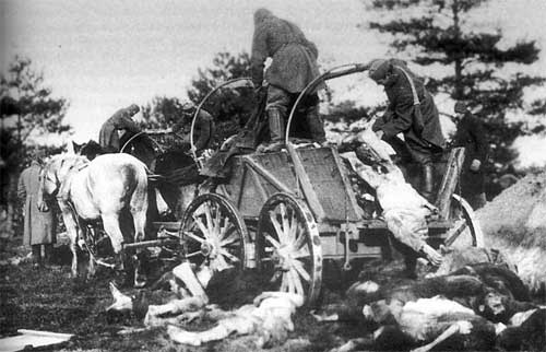 Иллюстрация к книге — Асы и пропаганда. Дутые победы Люфтваффе [i_066.jpg]