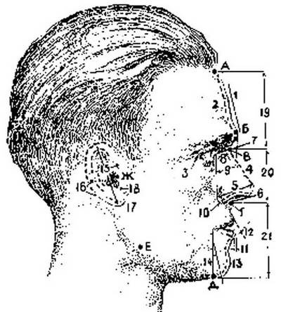 Иллюстрация к книге — Госбесы. Кровавая гэбня и "живой труп" [i_030.jpg]