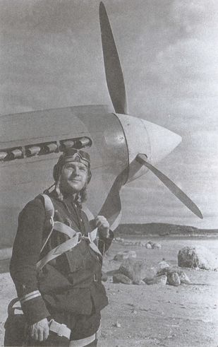 Иллюстрация к книге — Асы над тундрой. Воздушная война в Заполярье. 1941-1944 годы [i_004.jpg]