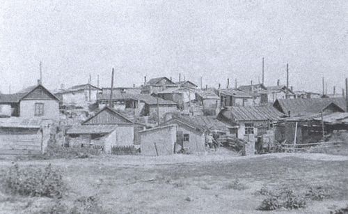 Иллюстрация к книге — Битва за Донбасс. Миус-фронт. 1941-1943 [i_024.jpg]