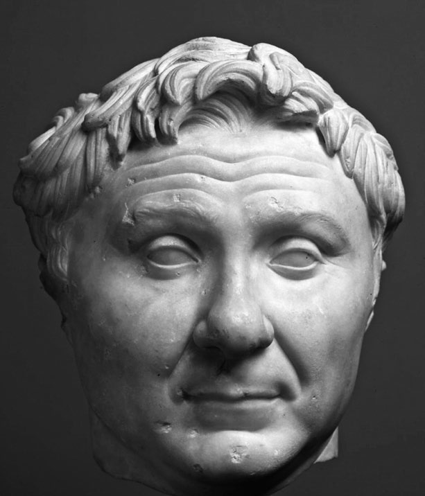 Иллюстрация к книге — Митридат против Римских легионов. Это наша война [Autogen_eBook_id1.jpg]