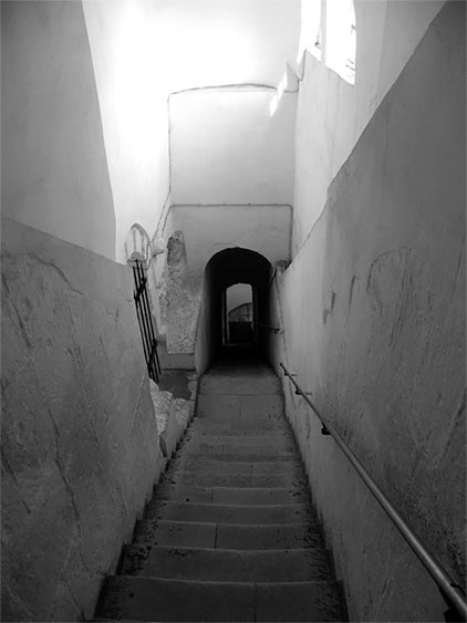 Иллюстрация к книге — Русь меж двух огней – против Батыя и "псов-рыцарей" [i_006.jpg]