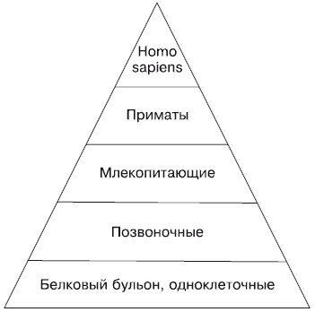 Иллюстрация к книге — Будущее России. Алгоритм переворота [i_005.jpg]