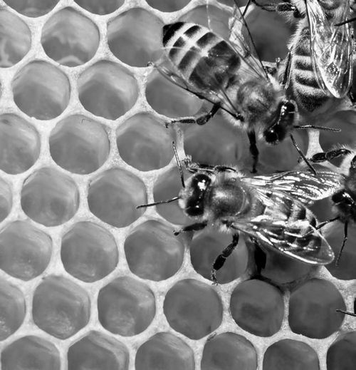 Иллюстрация к книге — Будущее России. Алгоритм переворота [i_012.jpg]