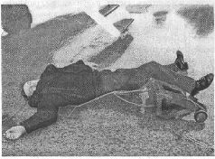 Иллюстрация к книге — Аферистка. Дело Тимошенко [i_019.jpg]