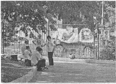 Иллюстрация к книге — Аферистка. Дело Тимошенко [i_037.jpg]