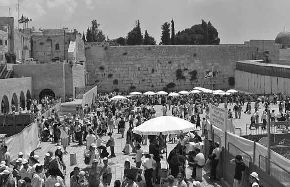 Иллюстрация к книге — Всемирная история в лицах [i_217.jpg]