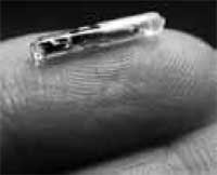 Иллюстрация к книге — Когда власть не от Бога [i_013.jpg]