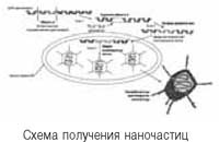 Иллюстрация к книге — Когда власть не от Бога [i_100.jpg]