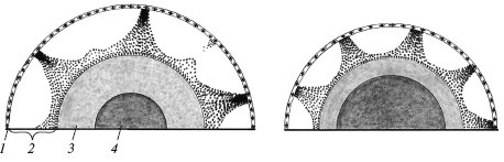 Иллюстрация к книге — Верхом на бомбе. Судьба планеты Земля и ее обитателей [i_009.jpg]