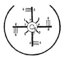 Иллюстрация к книге — Предсказание прошлого. Расцвет и гибель допотопной цивилизации [i_037.jpg]