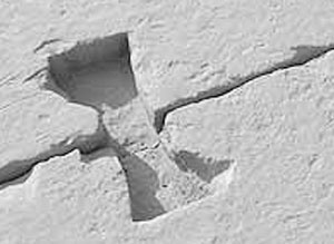 Иллюстрация к книге — Предсказание прошлого. Расцвет и гибель допотопной цивилизации [i_040.jpg]