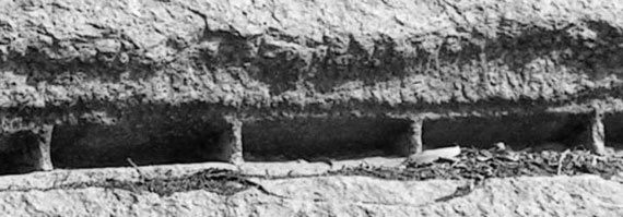 Иллюстрация к книге — Предсказание прошлого. Расцвет и гибель допотопной цивилизации [i_081.jpg]