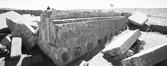 Иллюстрация к книге — Предсказание прошлого. Расцвет и гибель допотопной цивилизации [i_106.jpg]