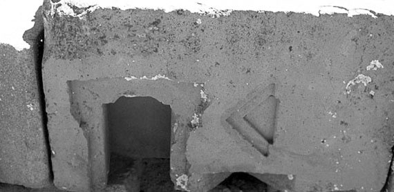 Иллюстрация к книге — Предсказание прошлого. Расцвет и гибель допотопной цивилизации [i_107.jpg]