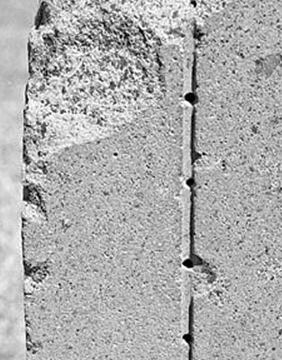 Иллюстрация к книге — Предсказание прошлого. Расцвет и гибель допотопной цивилизации [i_113.jpg]