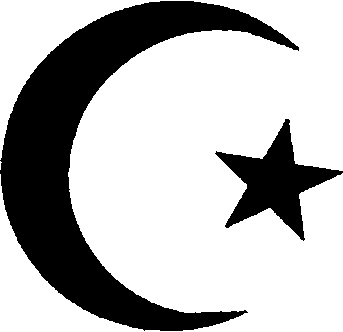 Иллюстрация к книге — Полдень магов. Оккультная перестройка мира [i_041.jpg]