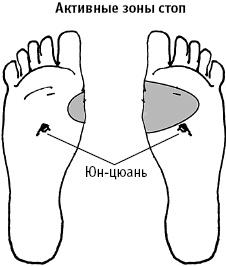 Иллюстрация к книге — Большой атлас целительных точек. Китайская медицина на страже здоровья и долголетия [_11.jpg]