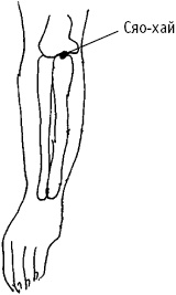 Иллюстрация к книге — Большой атлас целительных точек. Китайская медицина на страже здоровья и долголетия [_110.jpg]