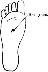 Иллюстрация к книге — Большой атлас целительных точек. Китайская медицина на страже здоровья и долголетия [_116.jpg]