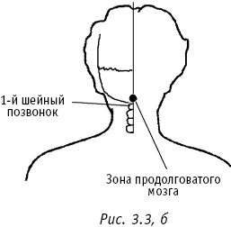 Иллюстрация к книге — Большой атлас целительных точек. Китайская медицина на страже здоровья и долголетия [_140.jpg]