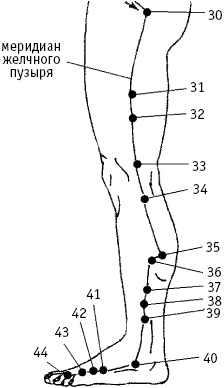 Иллюстрация к книге — Большой атлас целительных точек. Китайская медицина на страже здоровья и долголетия [_144.jpg]