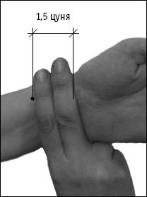 Иллюстрация к книге — Большой атлас целительных точек. Китайская медицина на страже здоровья и долголетия [_152.jpg]