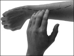 Иллюстрация к книге — Большой атлас целительных точек. Китайская медицина на страже здоровья и долголетия [_153.jpg]