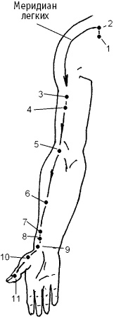 Иллюстрация к книге — Большой атлас целительных точек. Китайская медицина на страже здоровья и долголетия [_155.jpg]