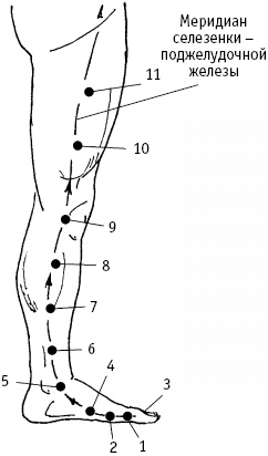 Иллюстрация к книге — Большой атлас целительных точек. Китайская медицина на страже здоровья и долголетия [_159.jpg]