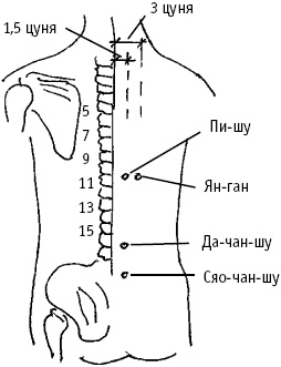 Иллюстрация к книге — Большой атлас целительных точек. Китайская медицина на страже здоровья и долголетия [_16.jpg]