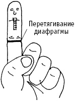 Иллюстрация к книге — Большой атлас целительных точек. Китайская медицина на страже здоровья и долголетия [_191.jpg]