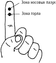 Иллюстрация к книге — Большой атлас целительных точек. Китайская медицина на страже здоровья и долголетия [_196.jpg]