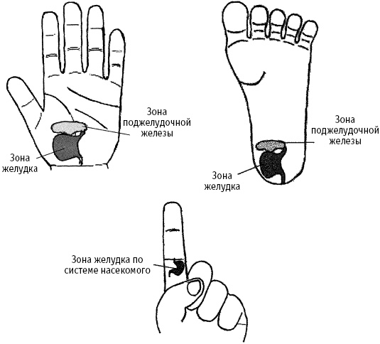 Иллюстрация к книге — Большой атлас целительных точек. Китайская медицина на страже здоровья и долголетия [_204.jpg]