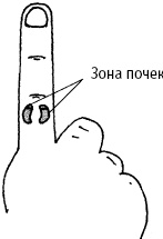 Иллюстрация к книге — Большой атлас целительных точек. Китайская медицина на страже здоровья и долголетия [_212.jpg]